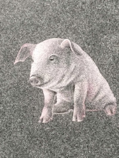 Piglet